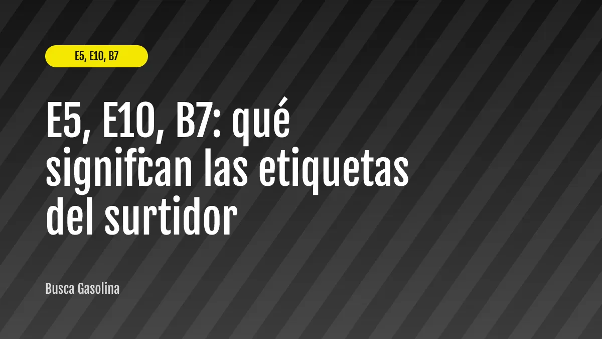 E5, E10, B7: qué significan las etiquetas del surtidor
